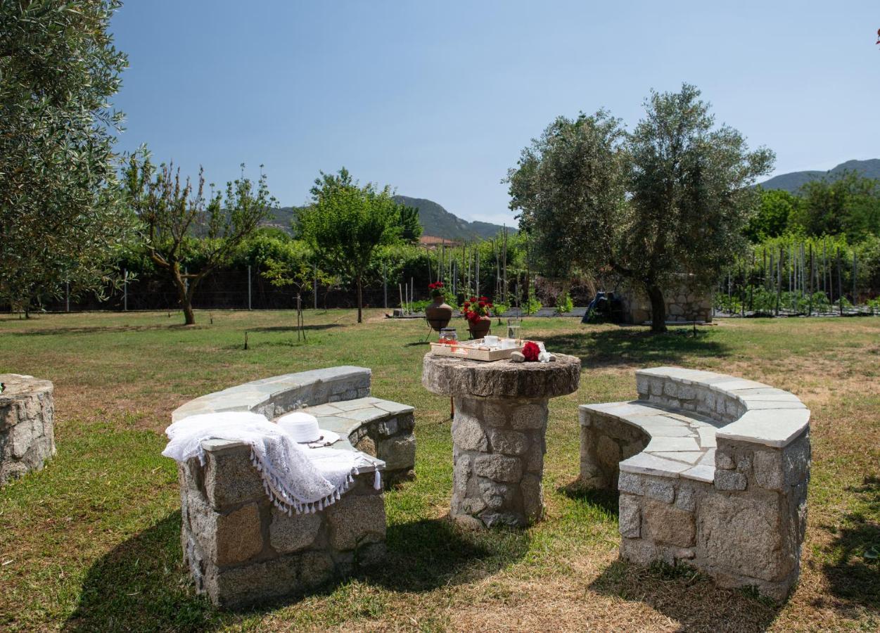 Villa Tsitreli Sykia Chalkidikis Exterior foto