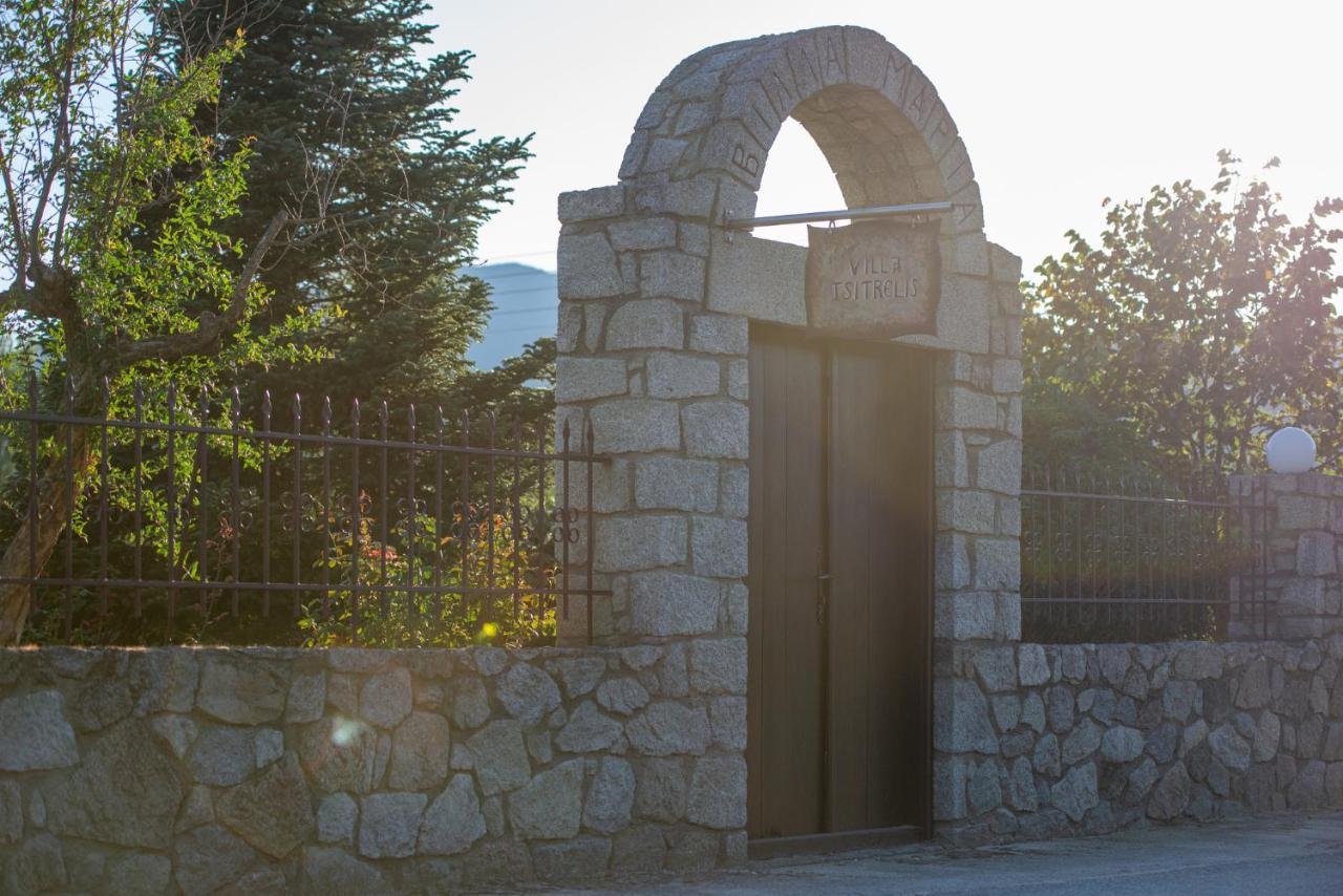 Villa Tsitreli Sykia Chalkidikis Exterior foto